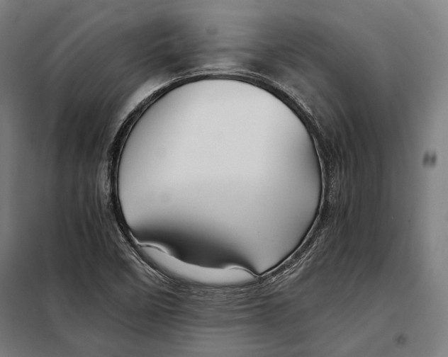 X0000097901458200804041426