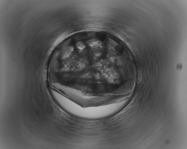 X0000097901459200804041426