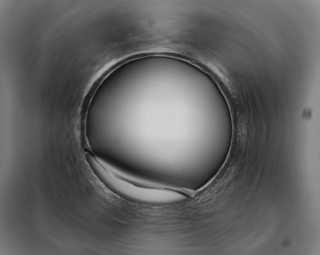 X0000097901460200804041426