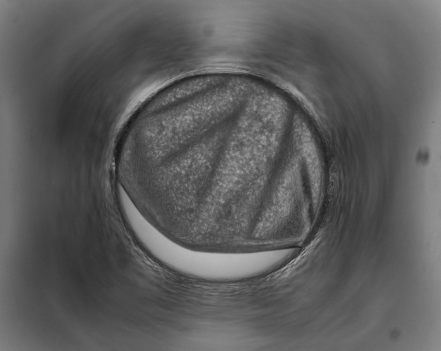 X0000097901461200804041426