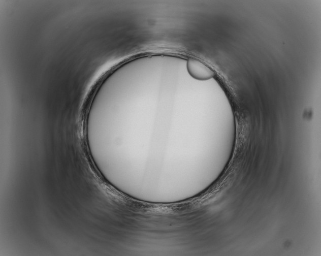 X0000097901462200804041426