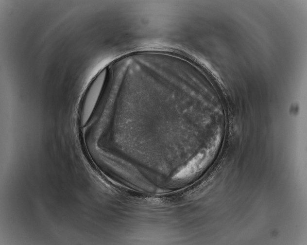 X0000097901463200804041426