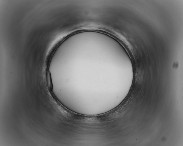 X0000097901464200804041426