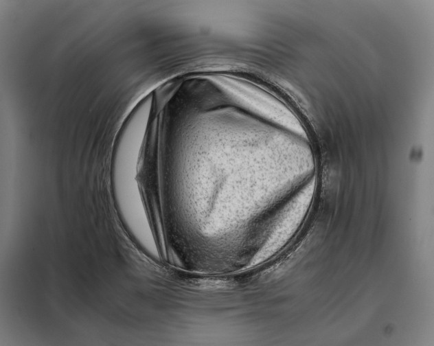 X0000097901465200804041426