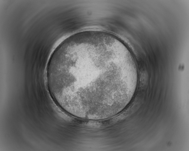 X0000097901466200804041426