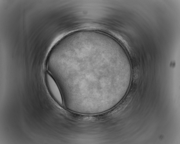 X0000097901467200804041426