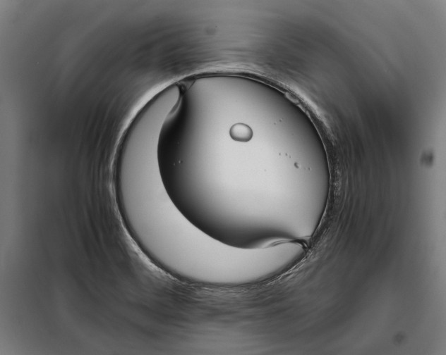 X0000097901468200804041426