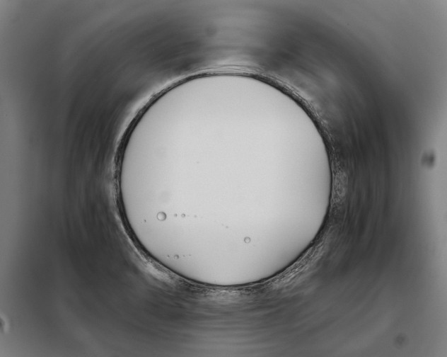 X0000097901470200804041426