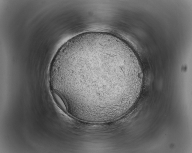 X0000097901471200804041426