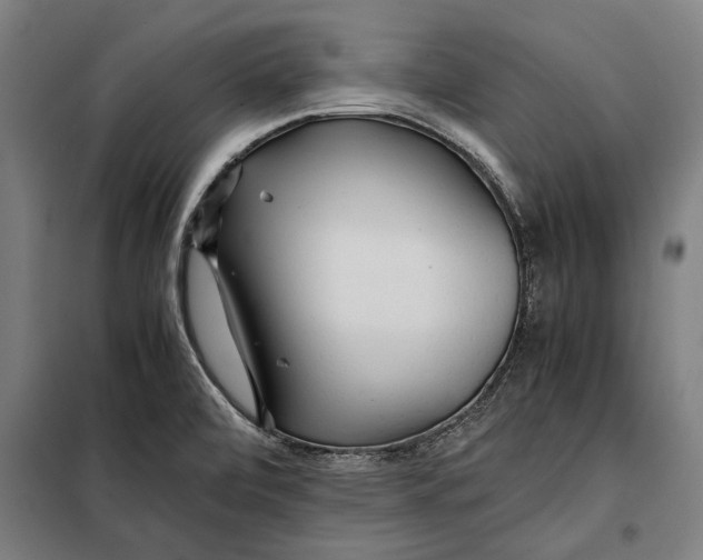 X0000097901472200804041426