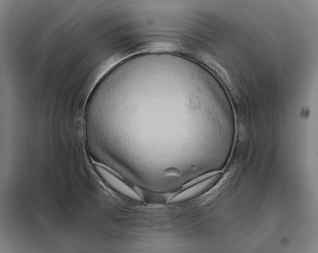 X0000097901473200804041426