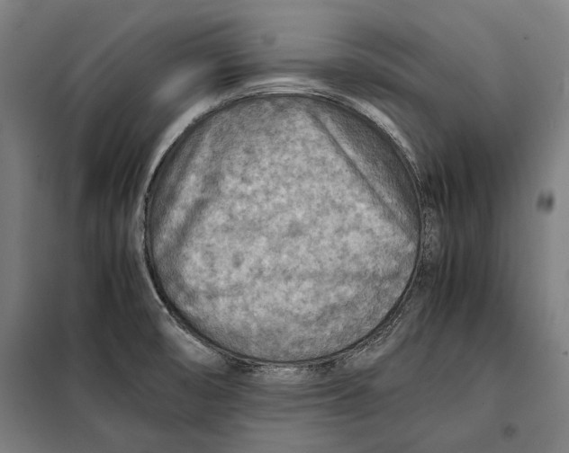 X0000097901474200804041426