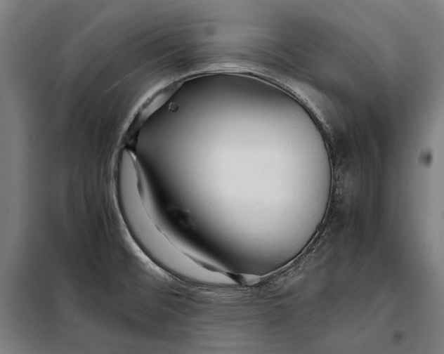 X0000097901476200804041426