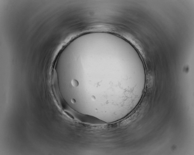 X0000097901477200804041426