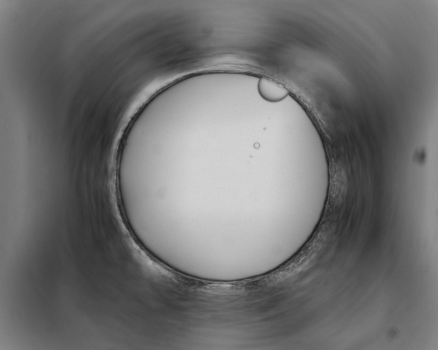 X0000097901478200804041426