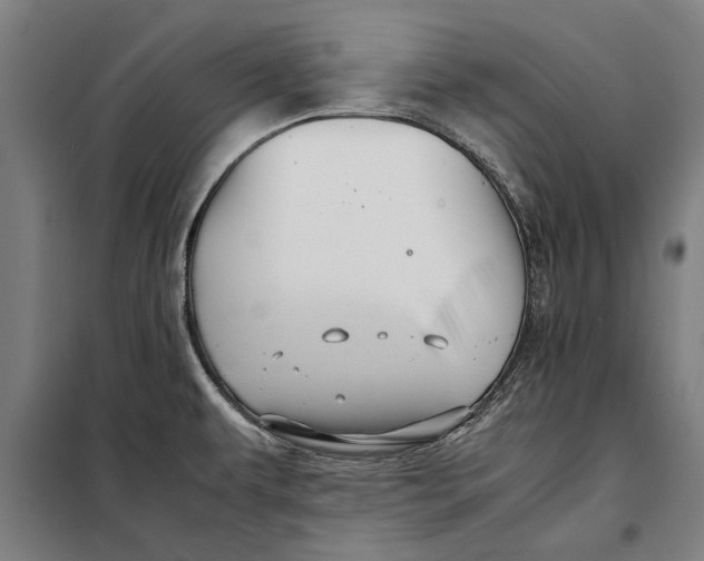 X0000097901479200804041426