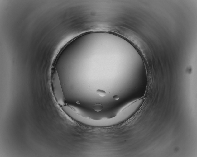 X0000097901480200804041426