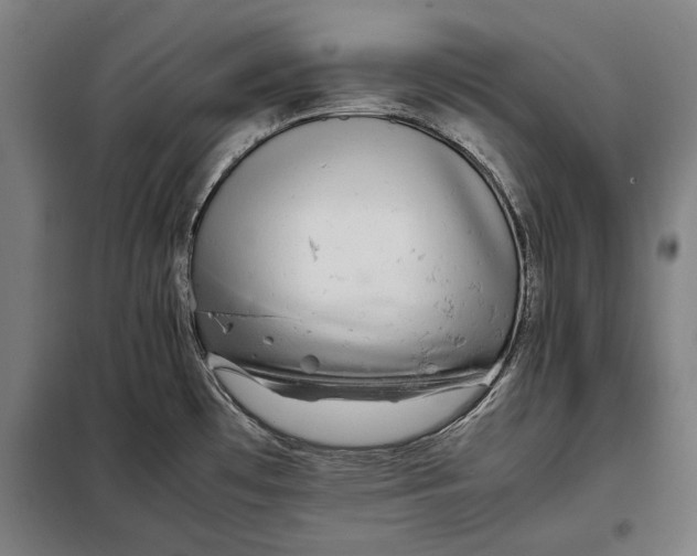 X0000097901481200804041426