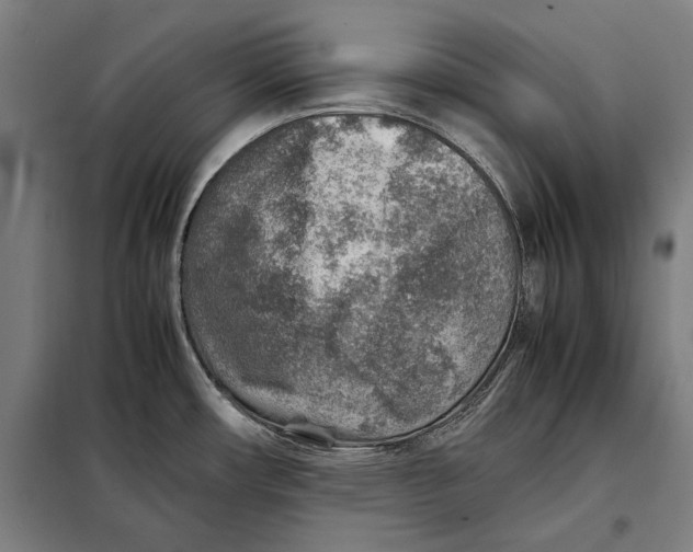 X0000097901482200804041426