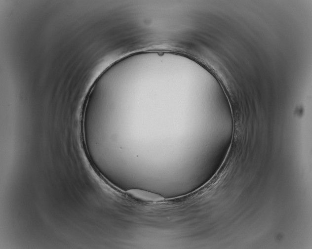 X0000097901483200804041426