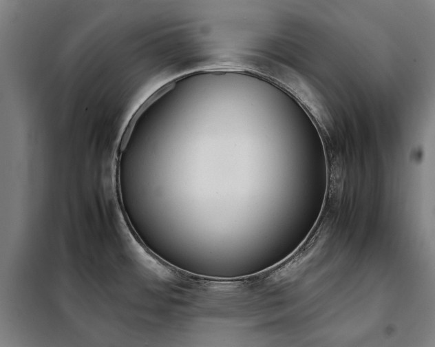 X0000097901484200804041426