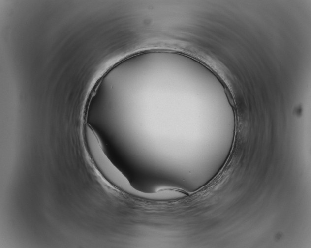 X0000097901485200804041426