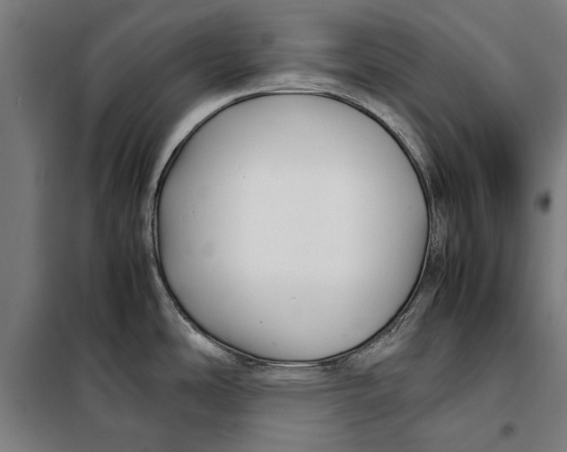 X0000097901486200804041426