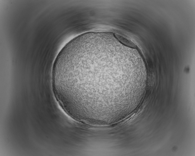 X0000097901487200804041426