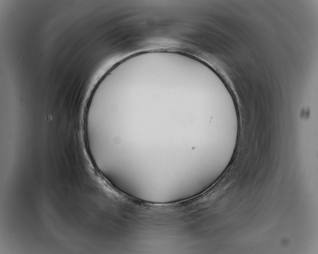 X0000097901488200804041426