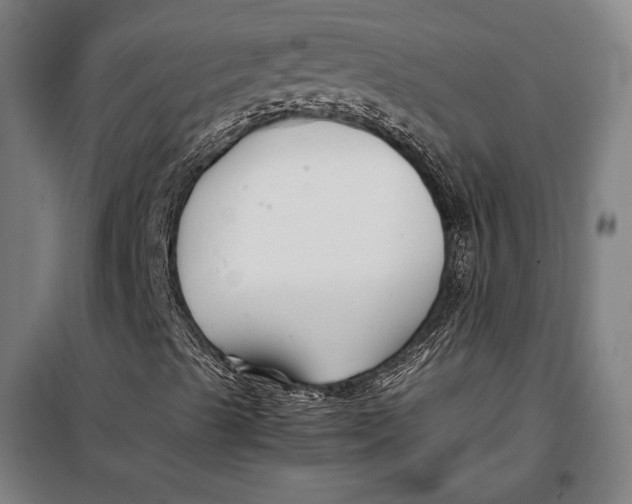 X0000097901489200804041425