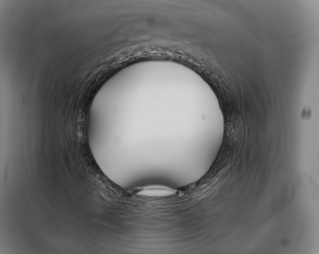 X0000097901490200804041425