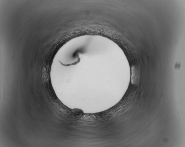 X0000097901491200804041425