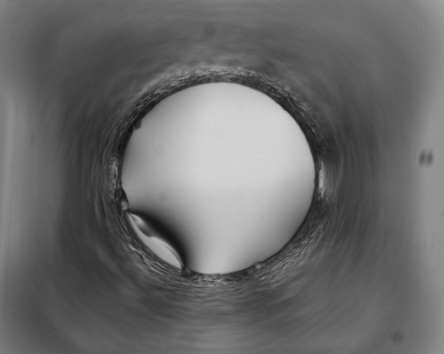 X0000097901492200804041425