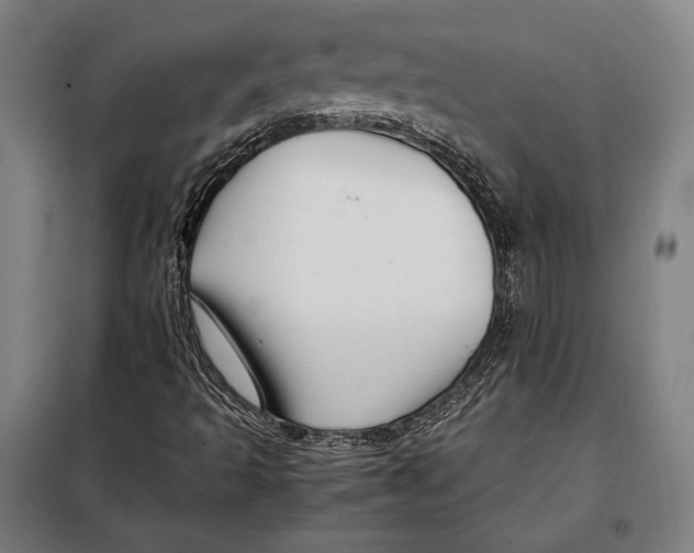 X0000097901493200804041425