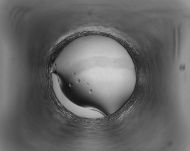 X0000097901494200804041425