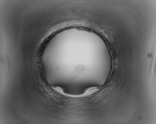 X0000097901496200804041425