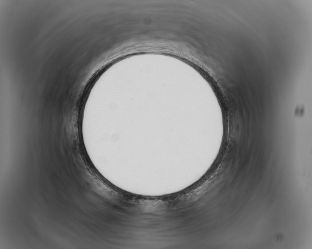 X0000097901498200804041425