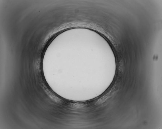 X0000097901499200804041425