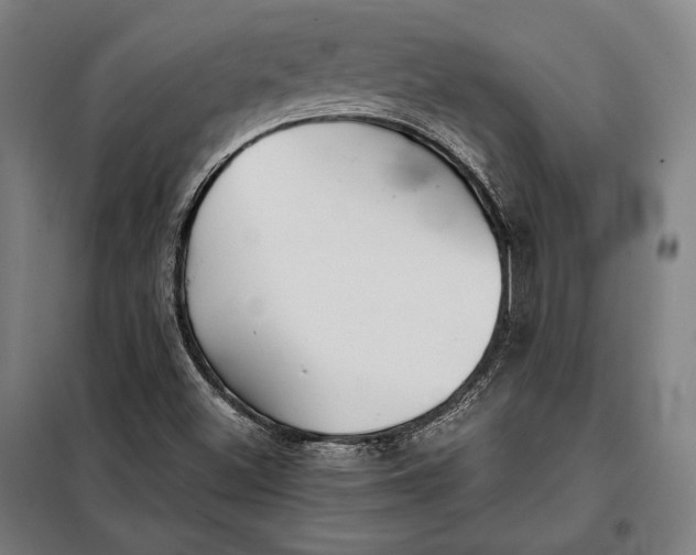 X0000097901500200804041425