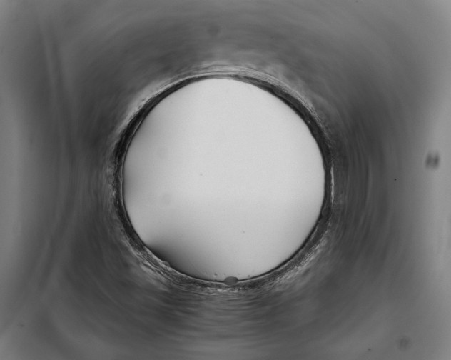 X0000097901501200804041425