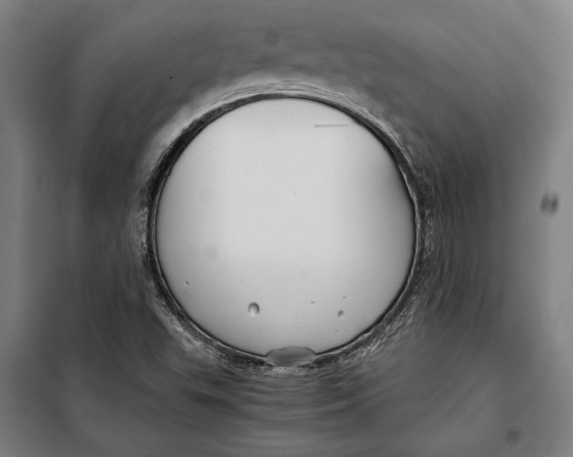 X0000097901503200804041425