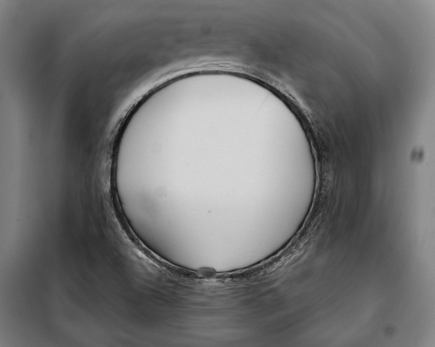 X0000097901504200804041425