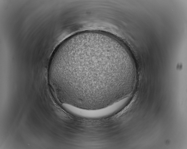 X0000097901505200804041425