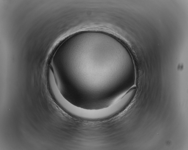 X0000097901506200804041425