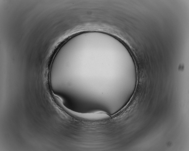 X0000097901507200804041425