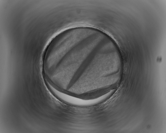 X0000097901508200804041425