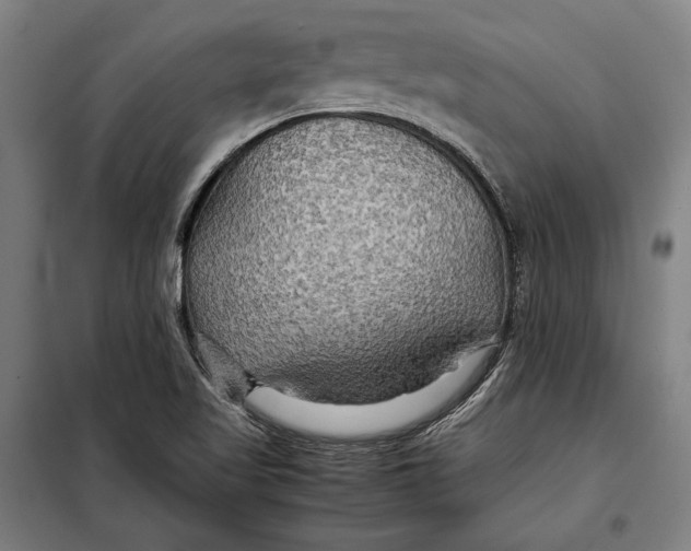 X0000097901509200804041425