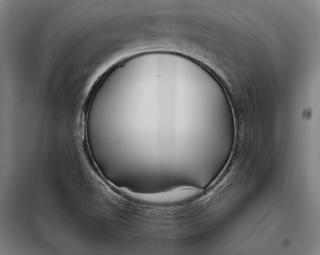 X0000097901510200804041425