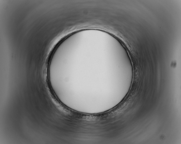 X0000097901511200804041425