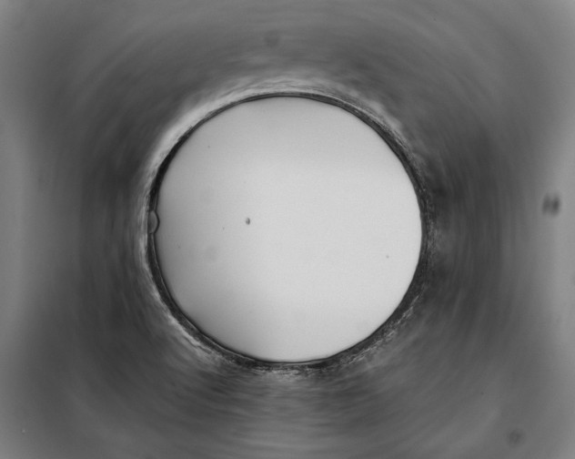 X0000097901512200804041425